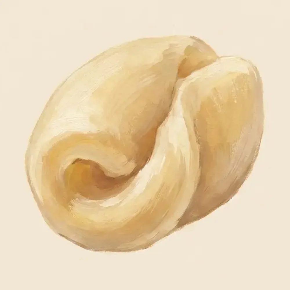 Gouache illustration of Cavatelli