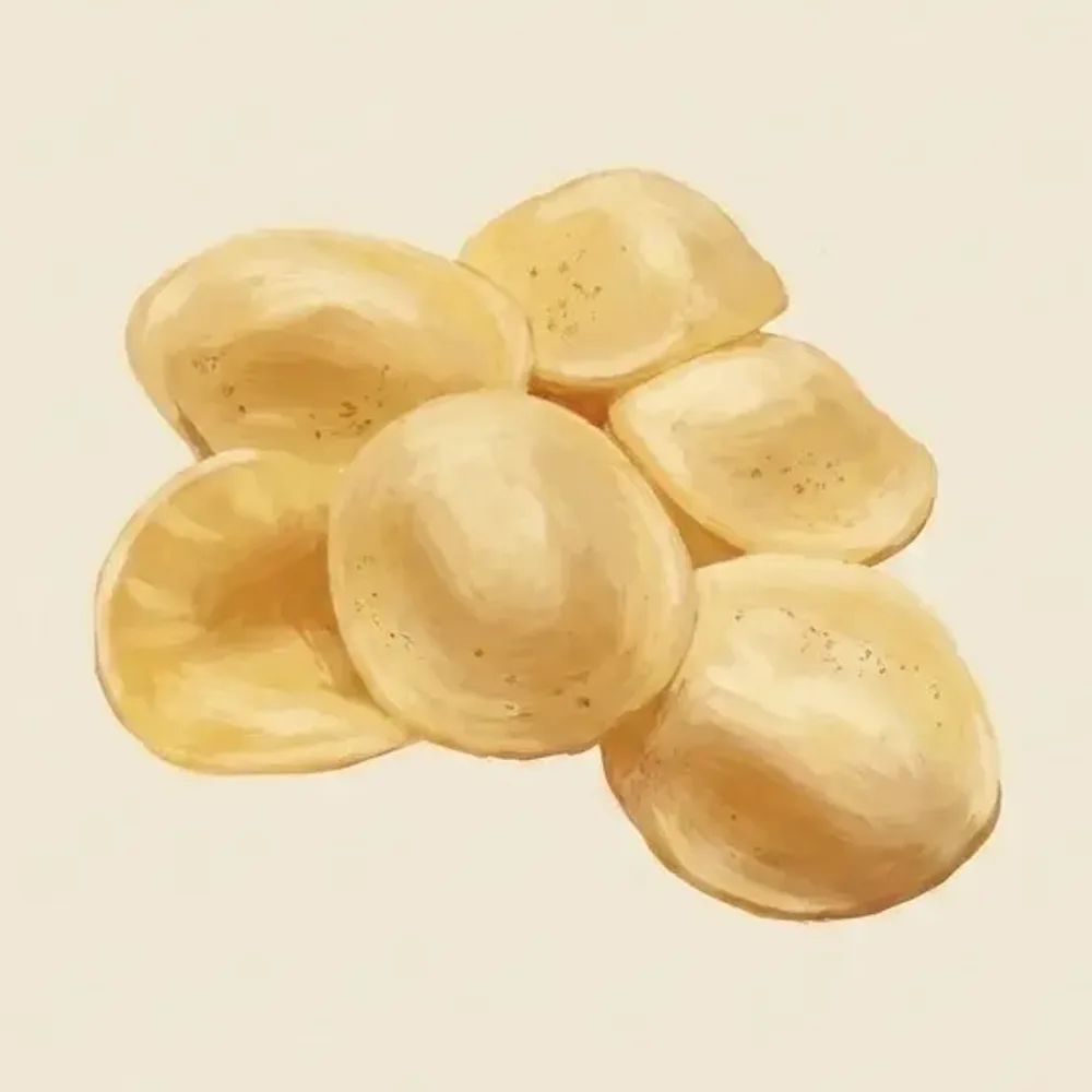 Gouache illustration of Orecchiette